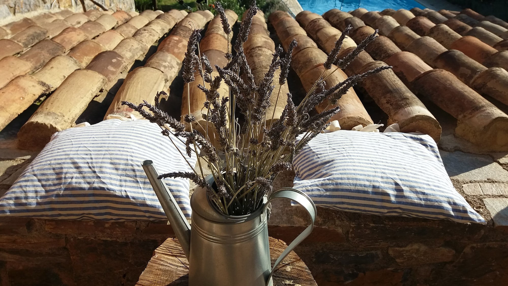 Evia Foxhouse