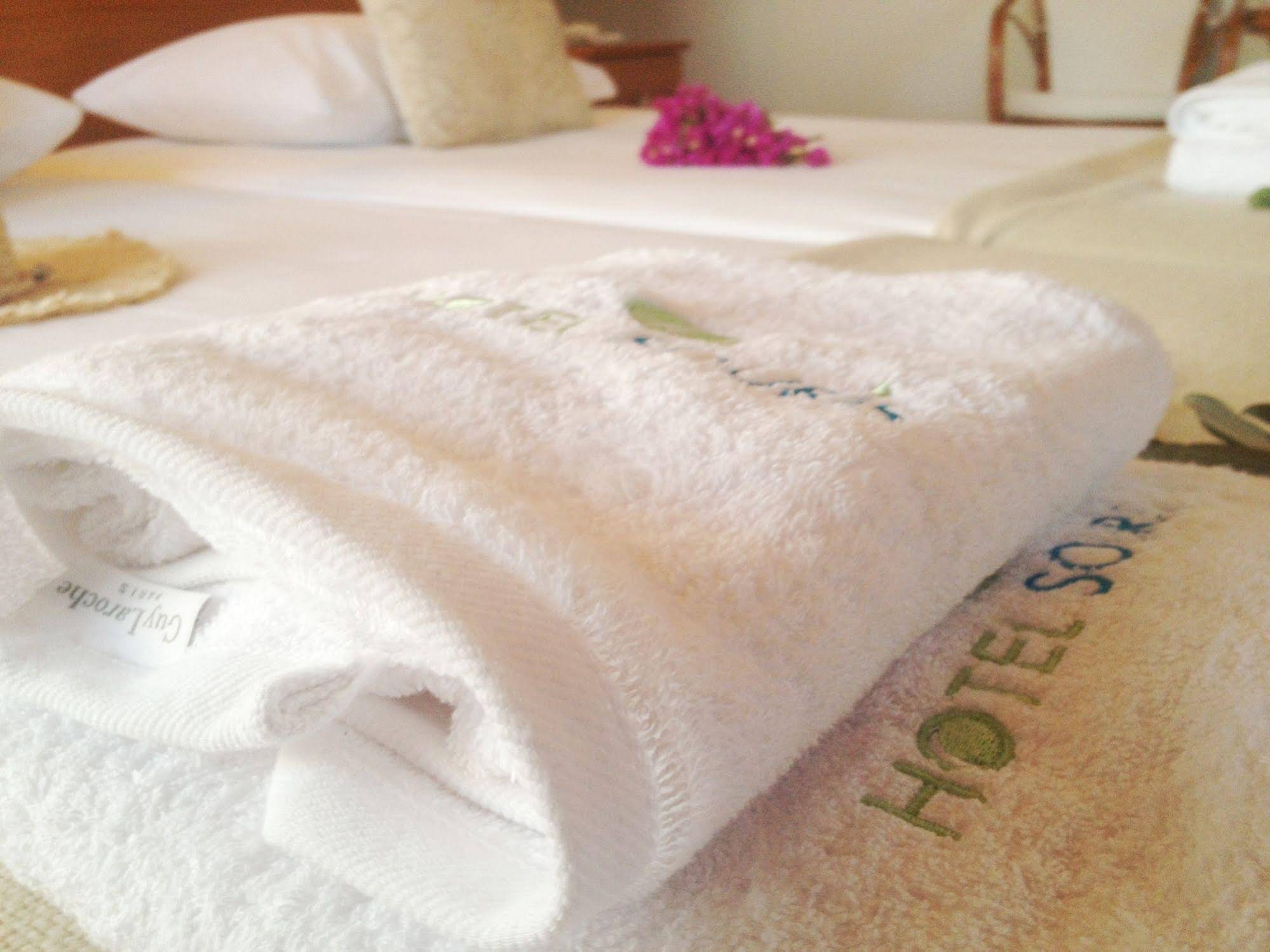 Hotel Souris