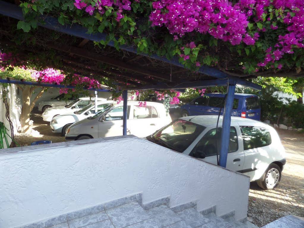 Skyros Junior Studios