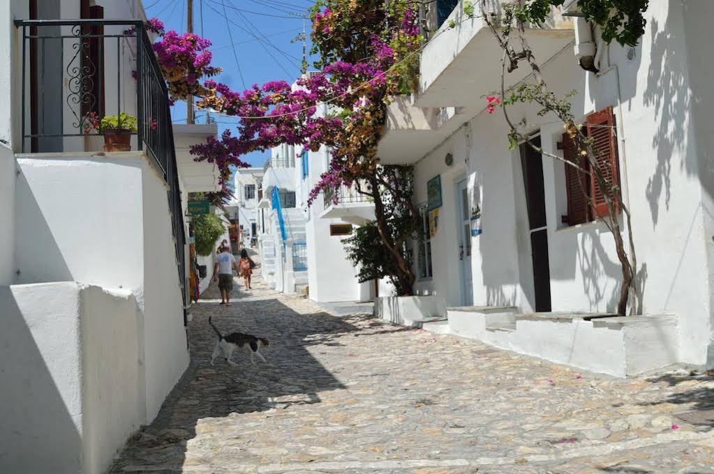 Skyros Junior Studios