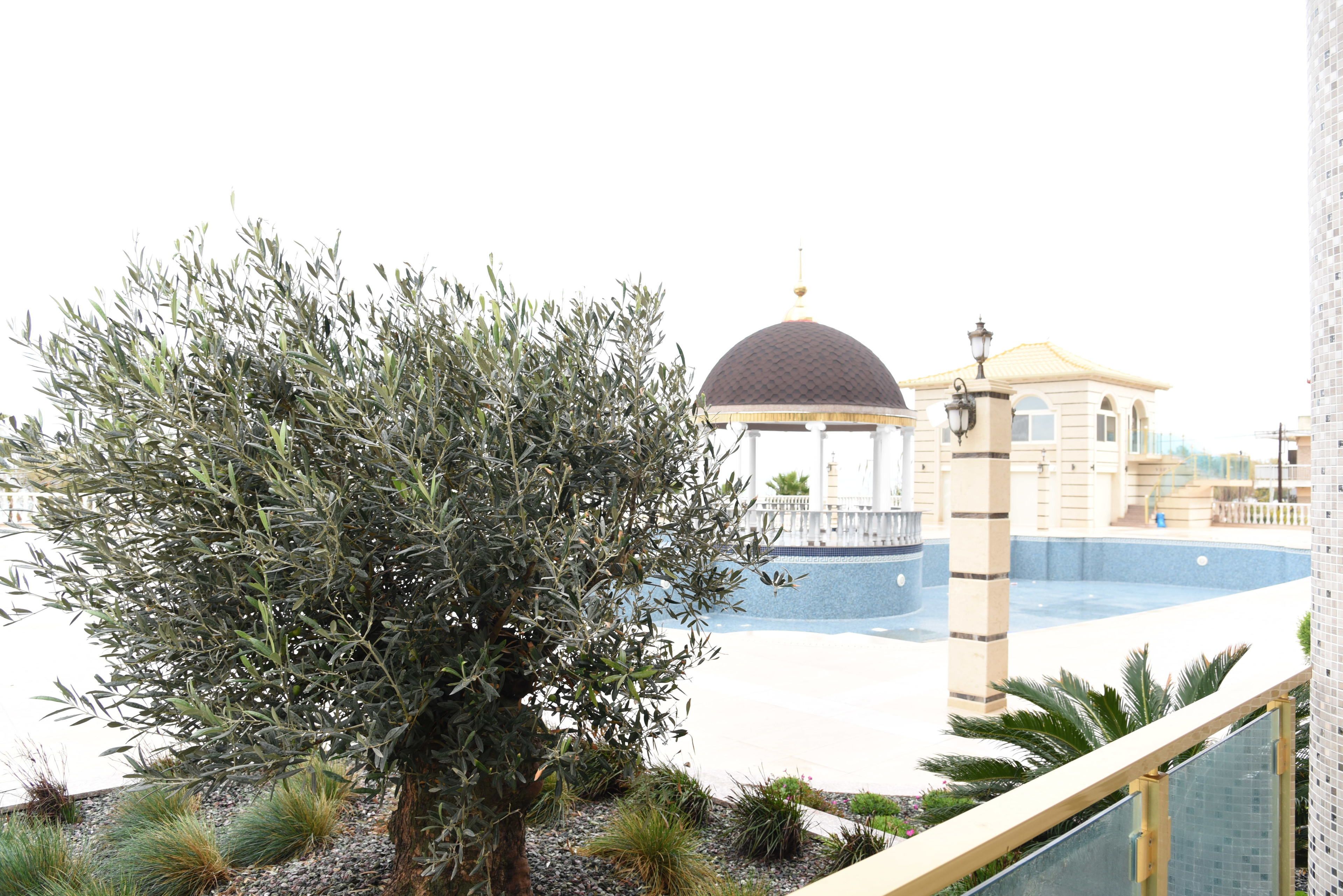 Wellness Santa Hotel