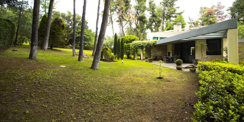 Araucaria Villa