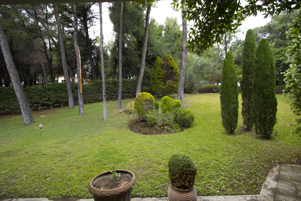 Araucaria Villa