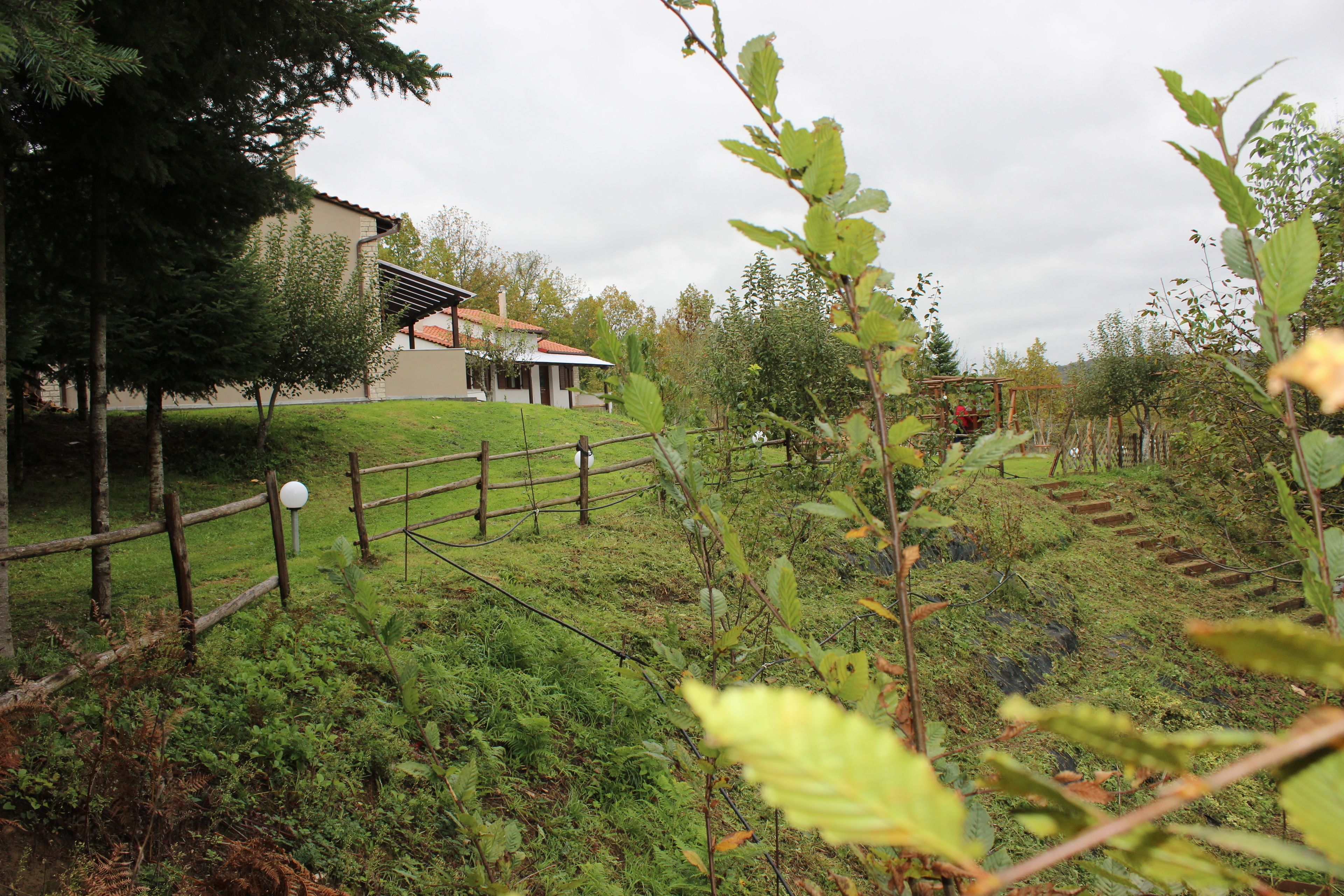 Kedros Holiday Villas