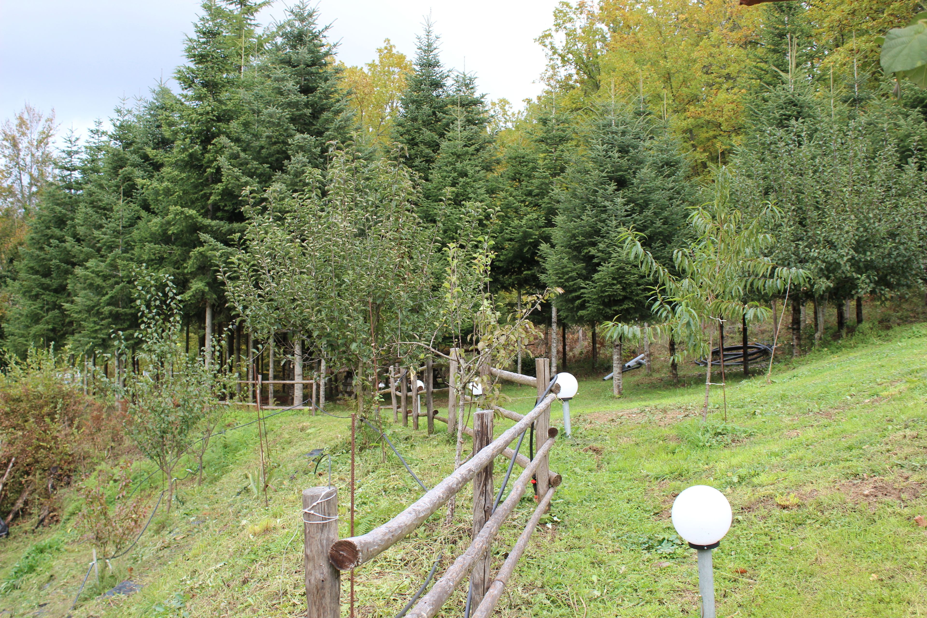 Kedros Holiday Villas