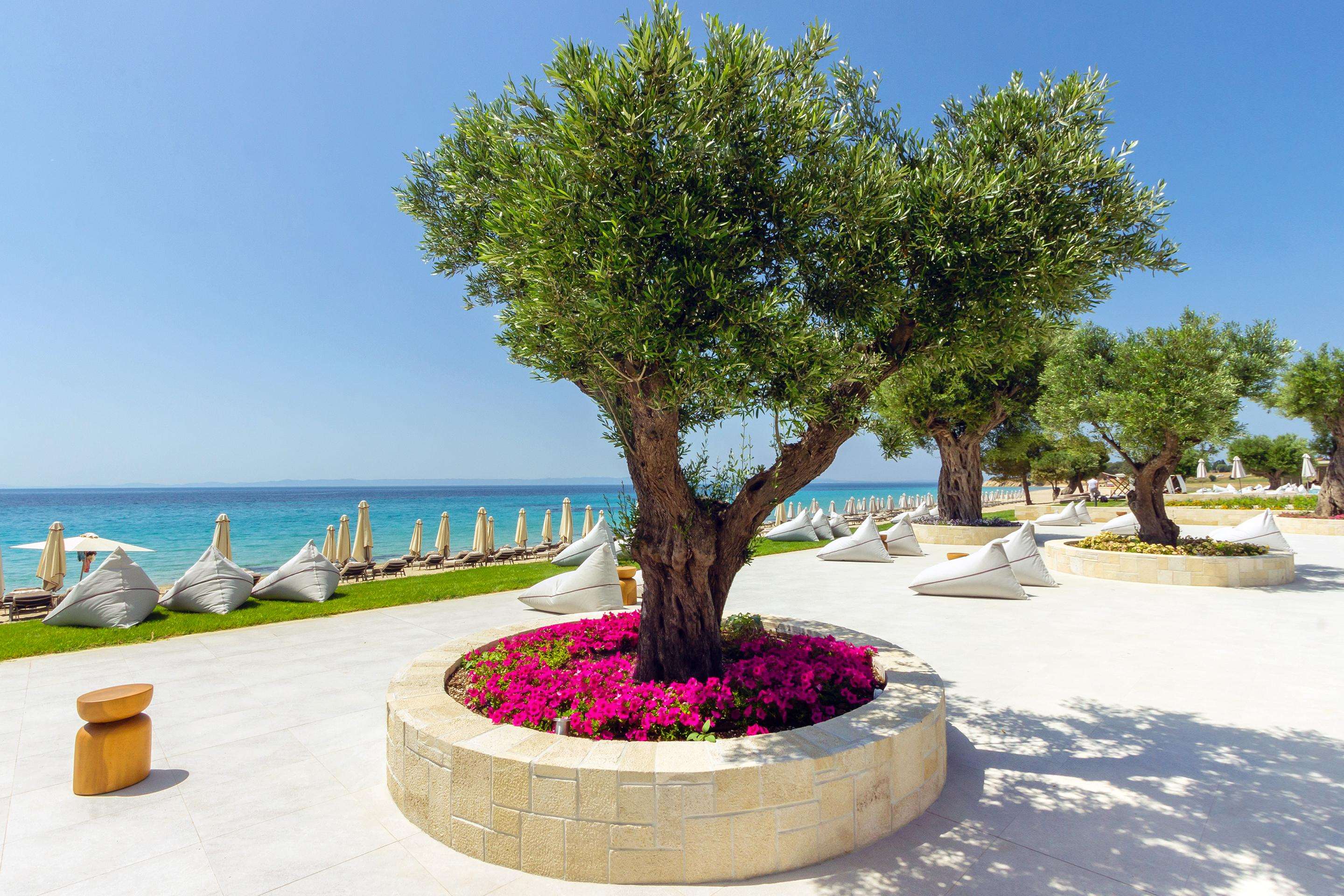 Ammoa Luxury Hotel & Spa Resort
