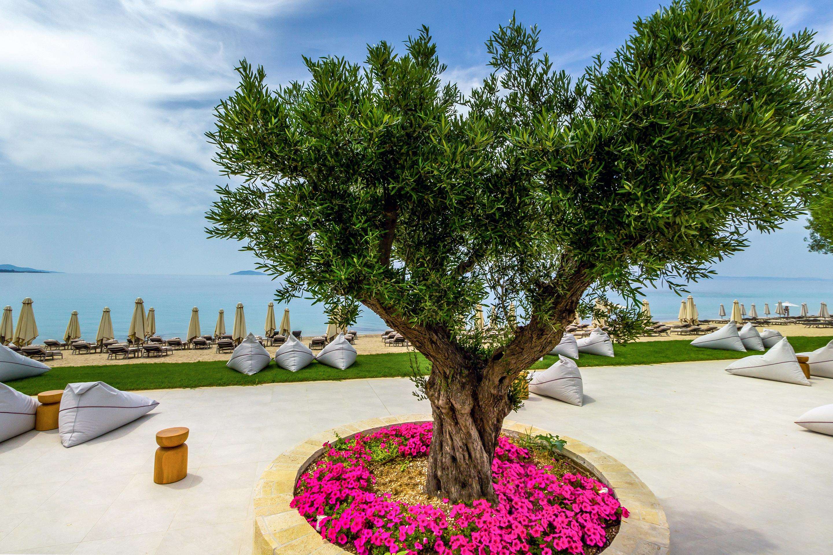 Ammoa Luxury Hotel & Spa Resort