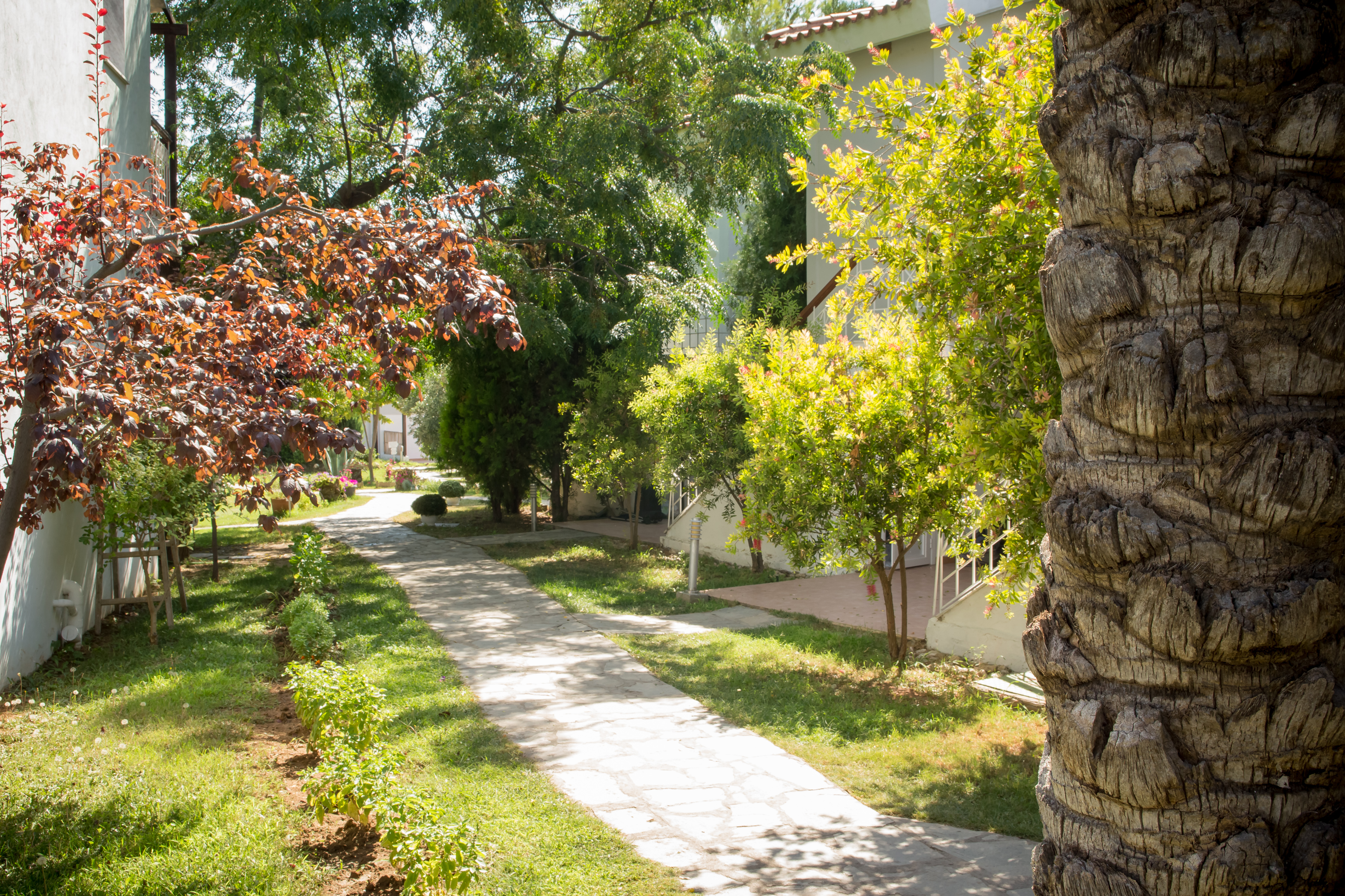Coral Blue Beach Hotel