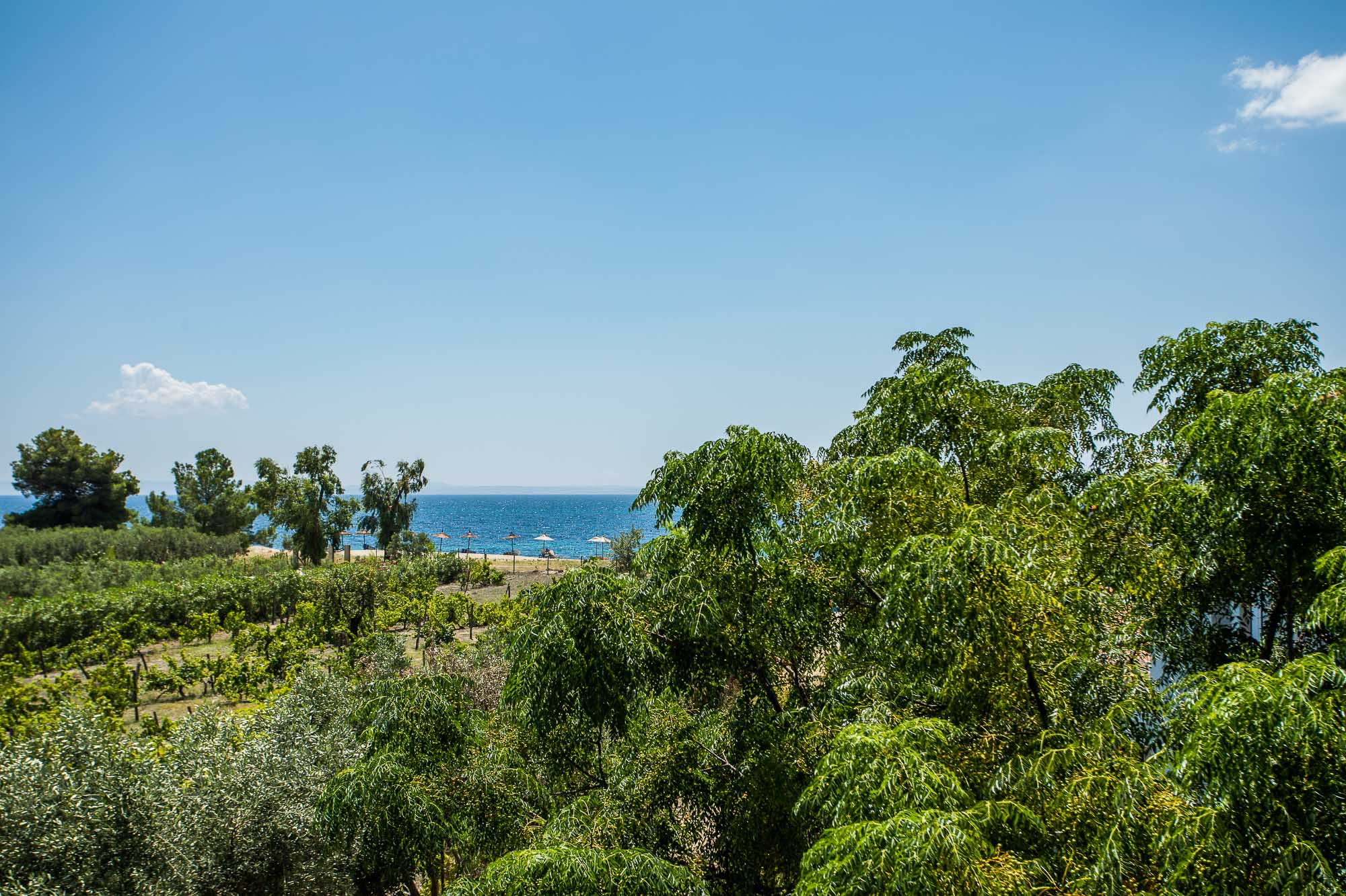 Coral Blue Beach Hotel