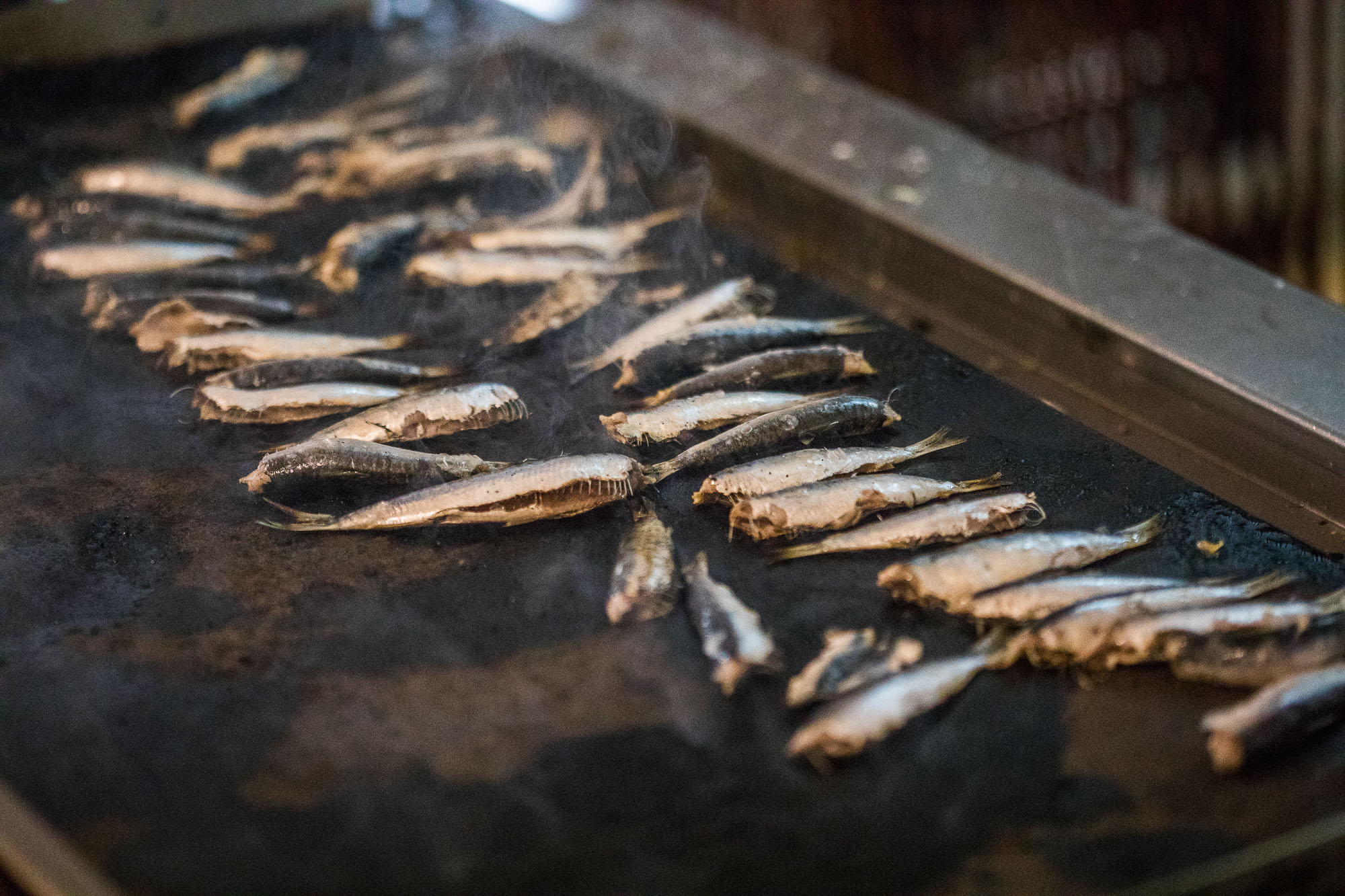 Coral Blue Beach Hotel