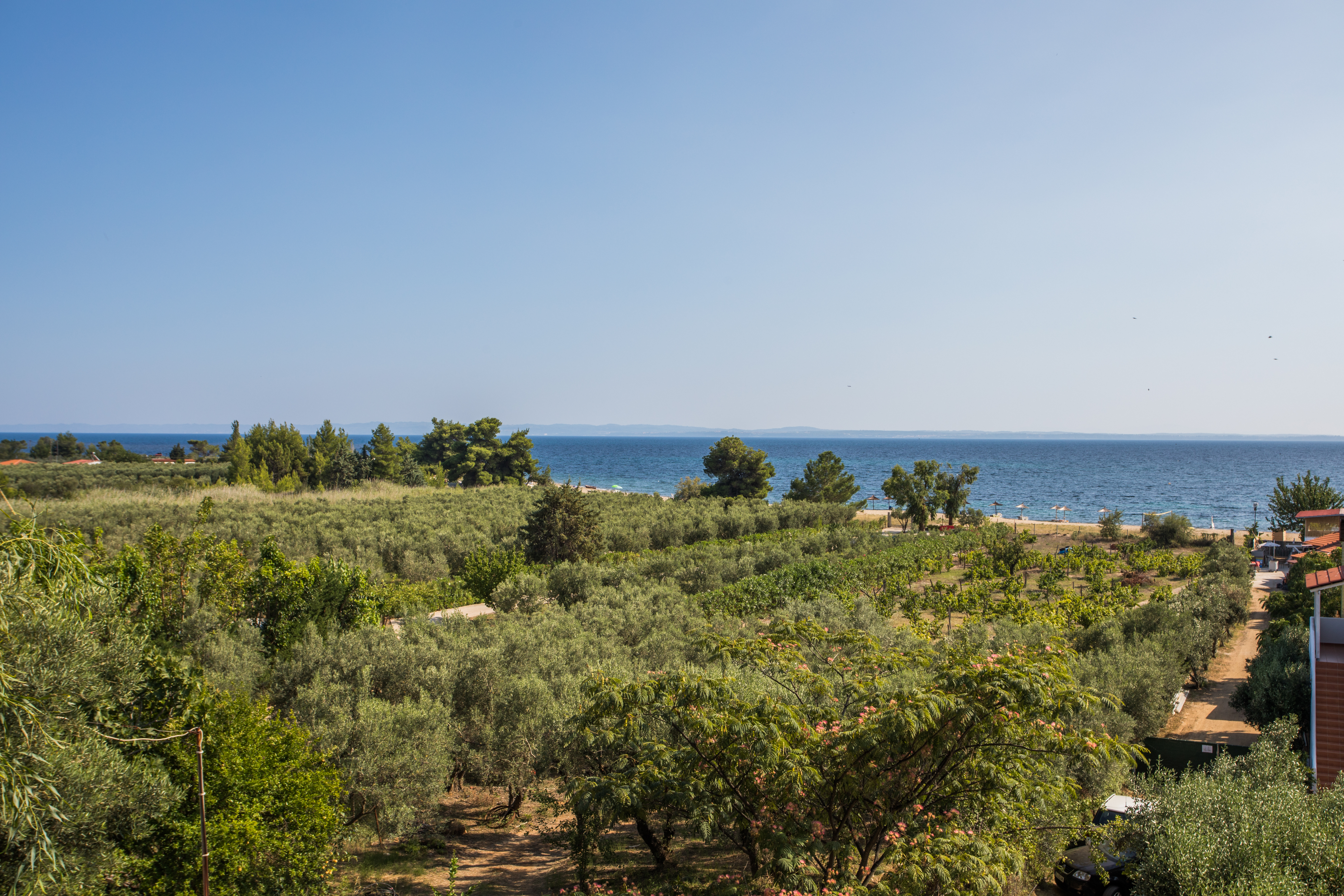 Coral Blue Beach Hotel