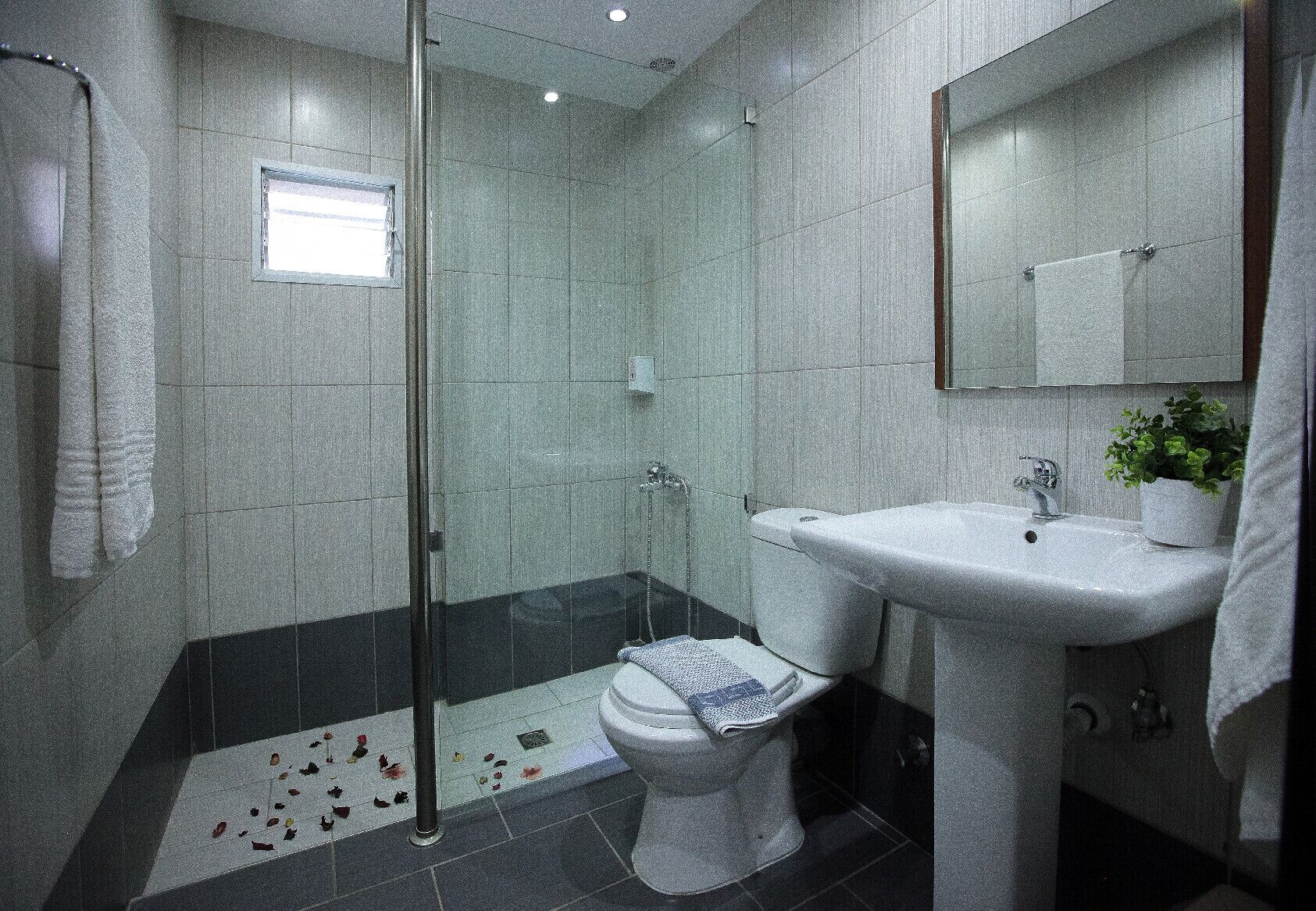 Hotel Epavli