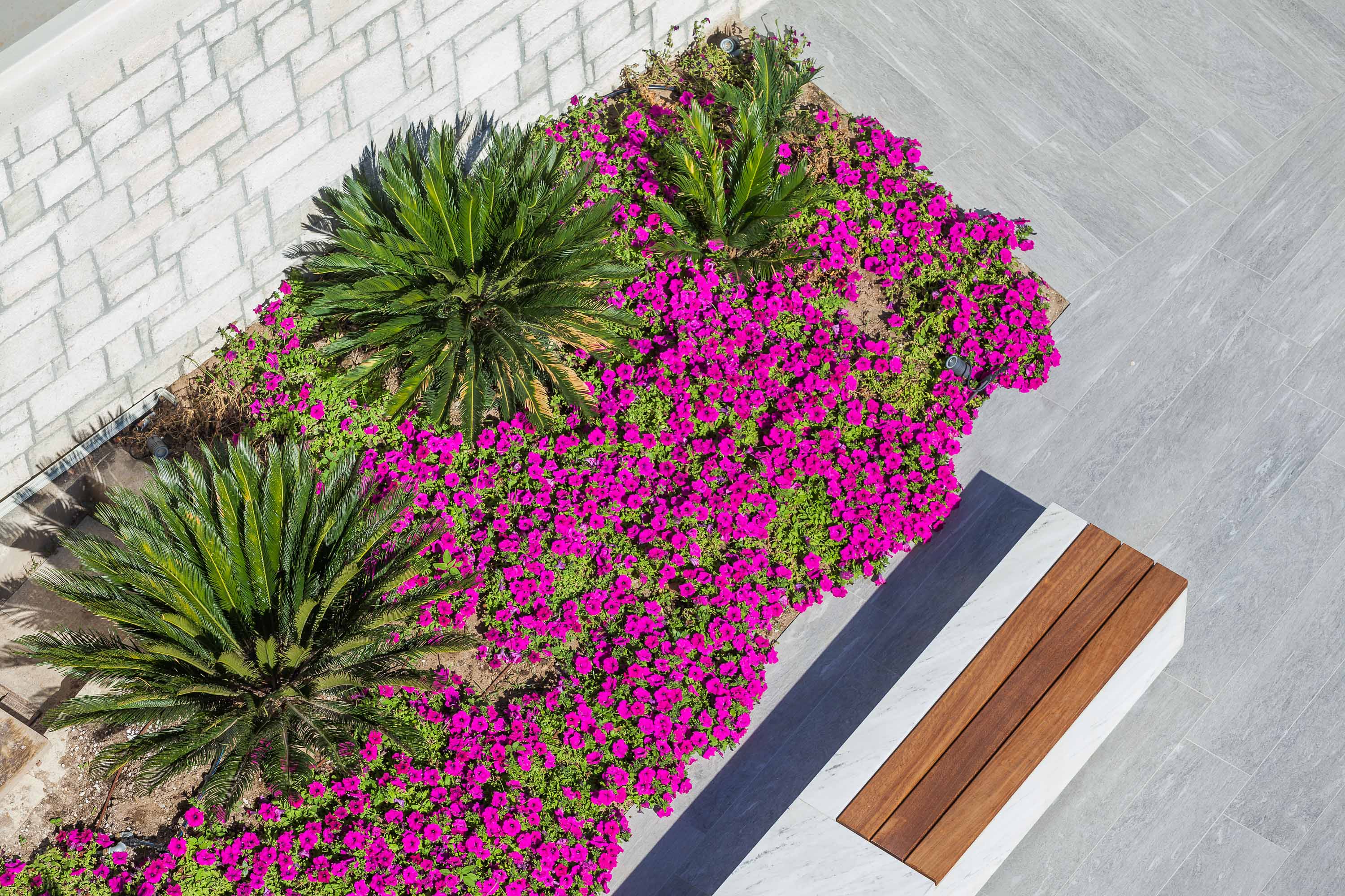 Ammon Zeus Luxury Beach Hotel