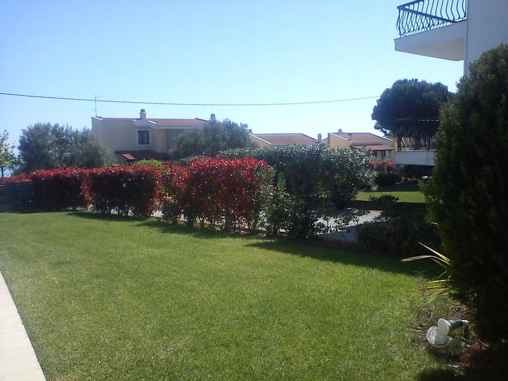 Marios House