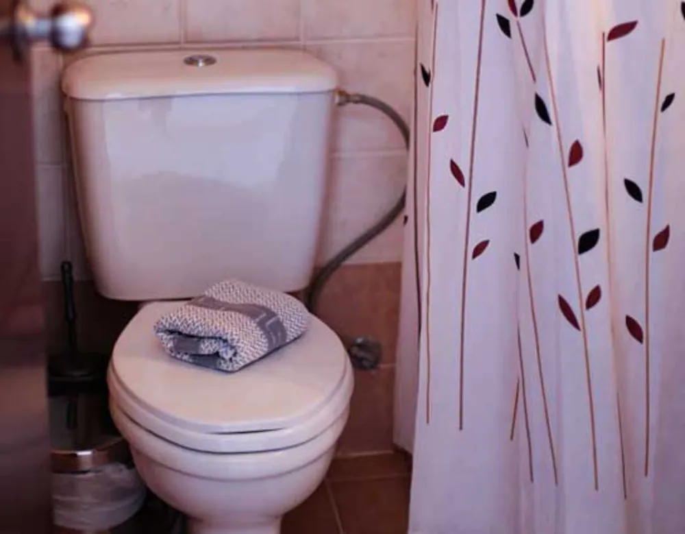 Melis Studios