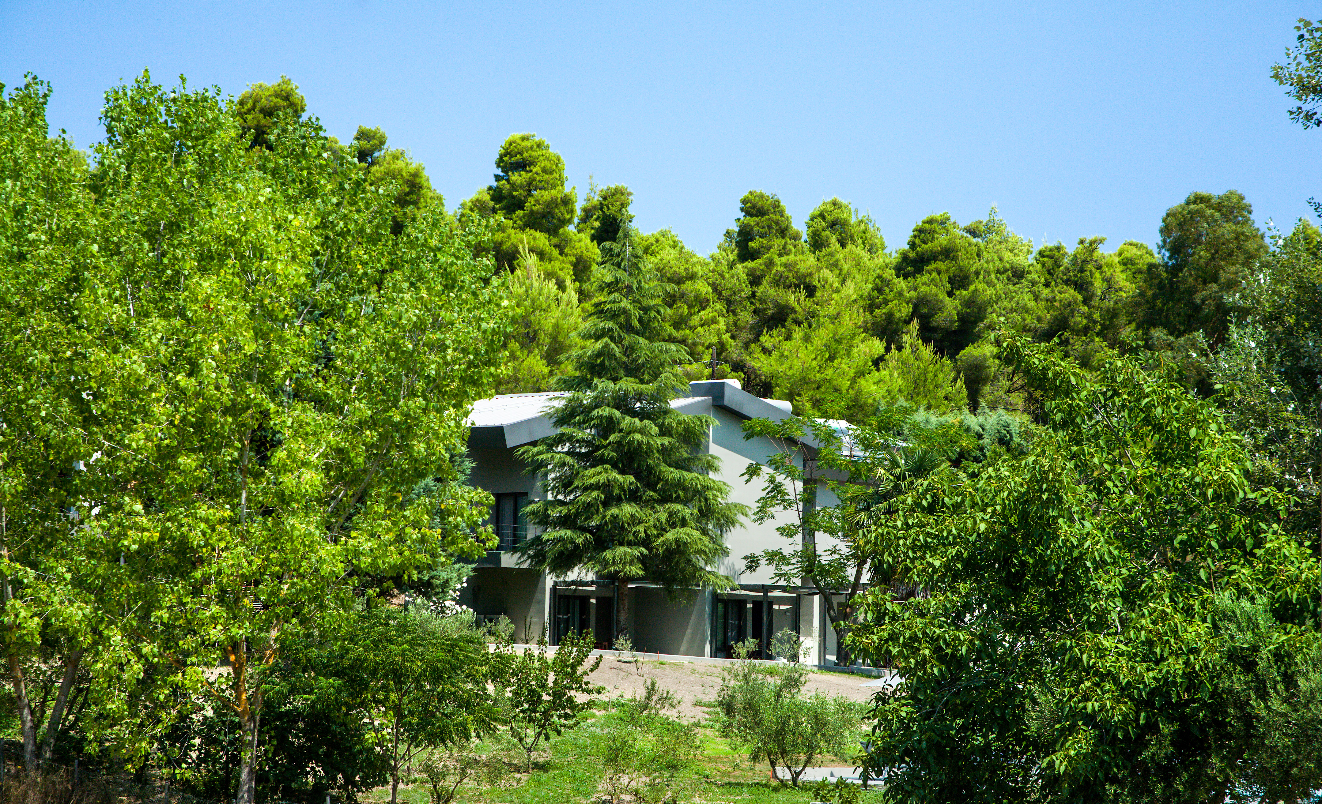 Sani Woods