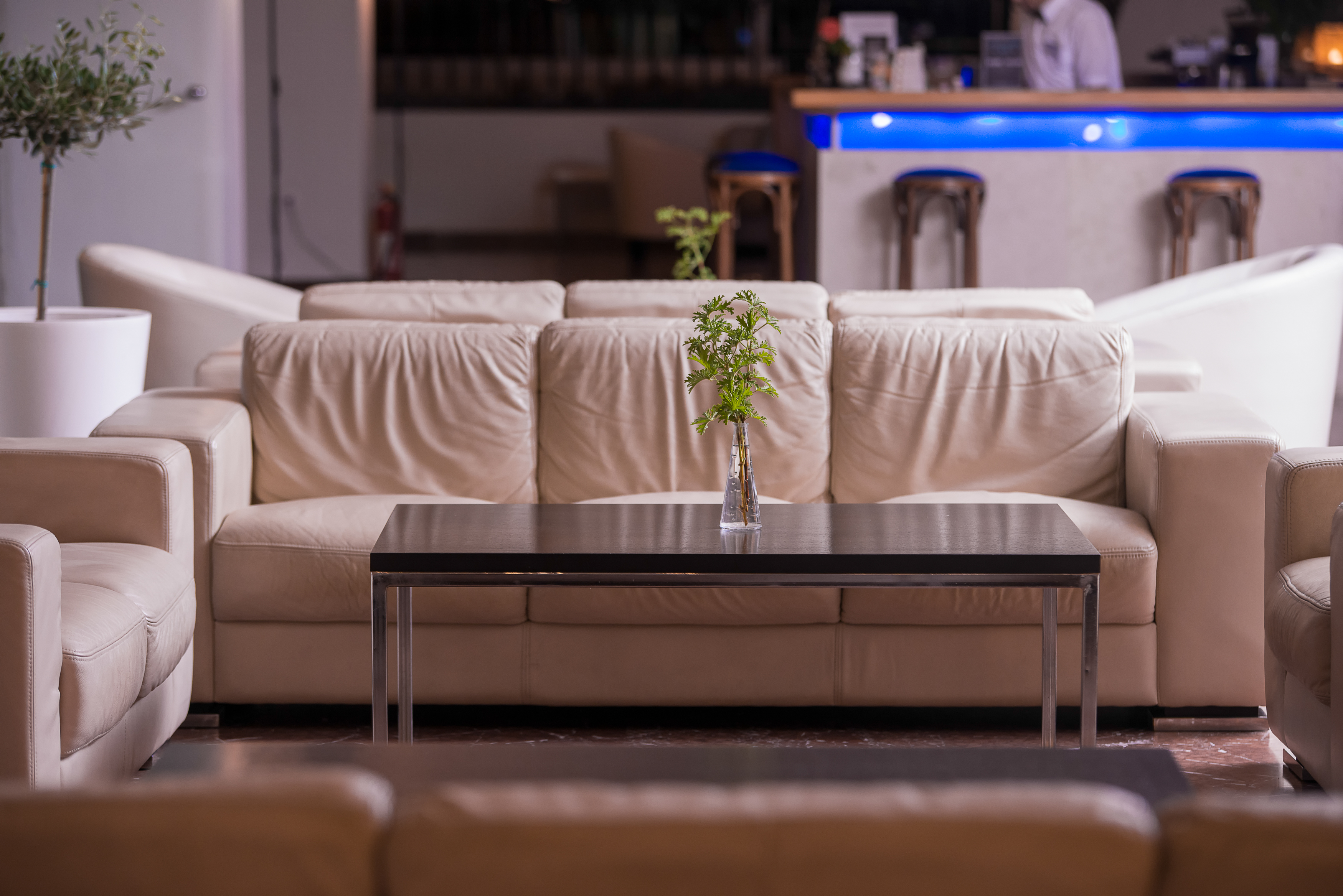 Kassandra Palace Seaside Resort