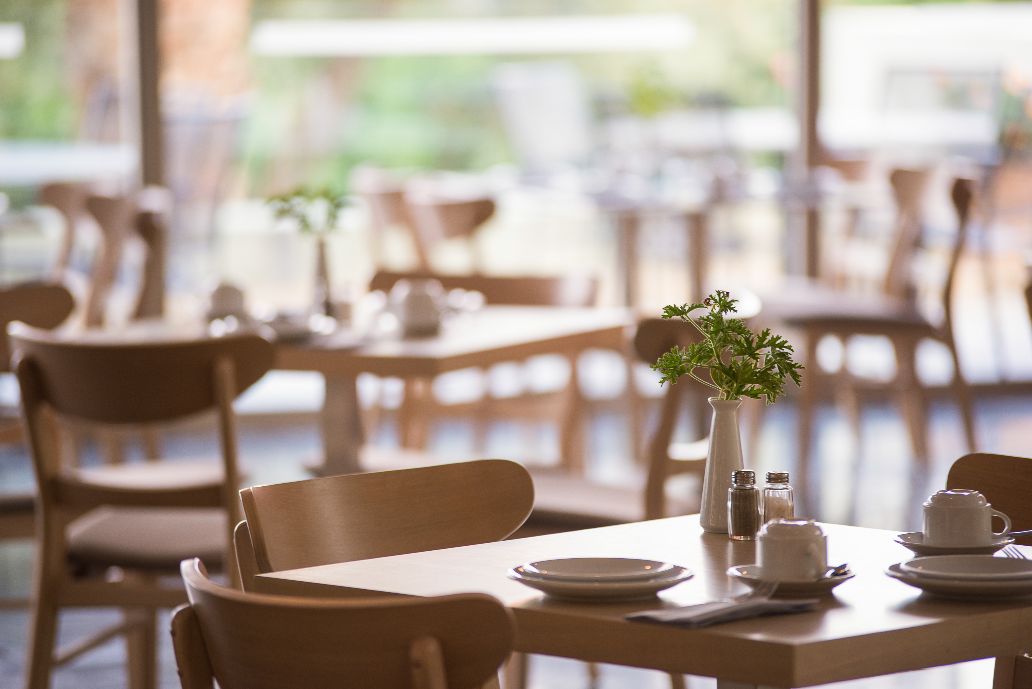 Kassandra Palace Seaside Resort