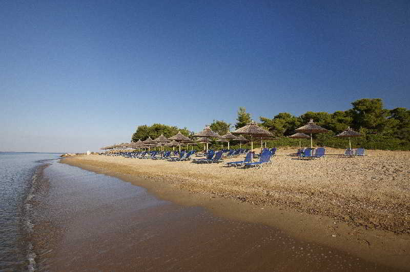 Blue Dolphin Hotel