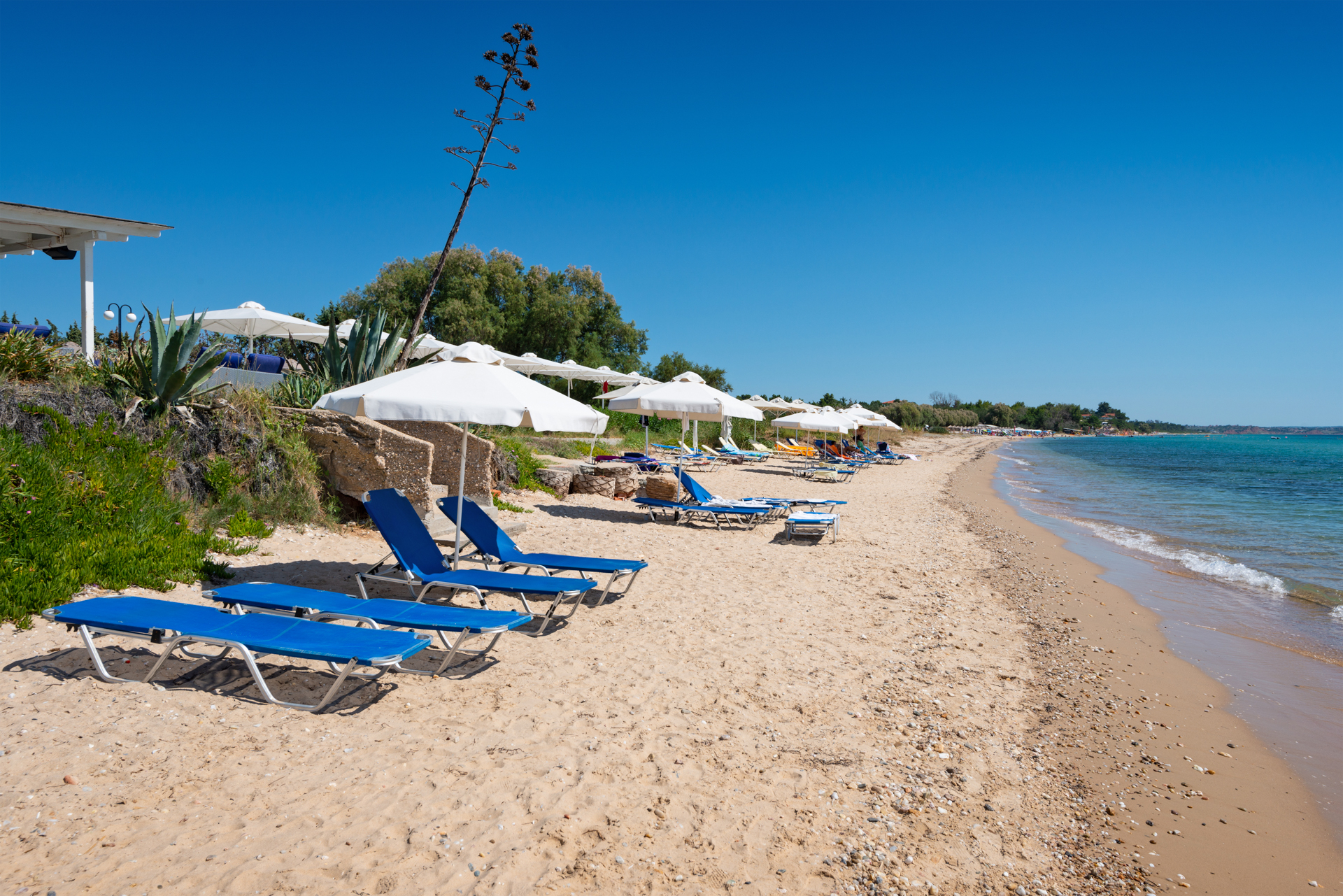 Kassandra Mare Hotel & Spa