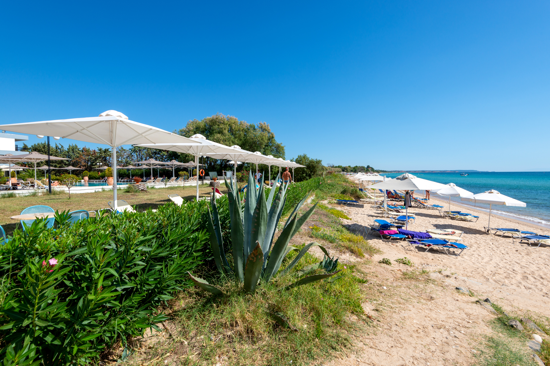 Kassandra Mare Hotel & Spa