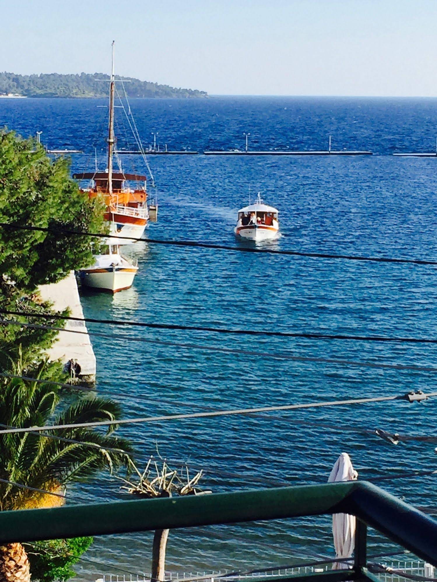 Hotel Papagalos