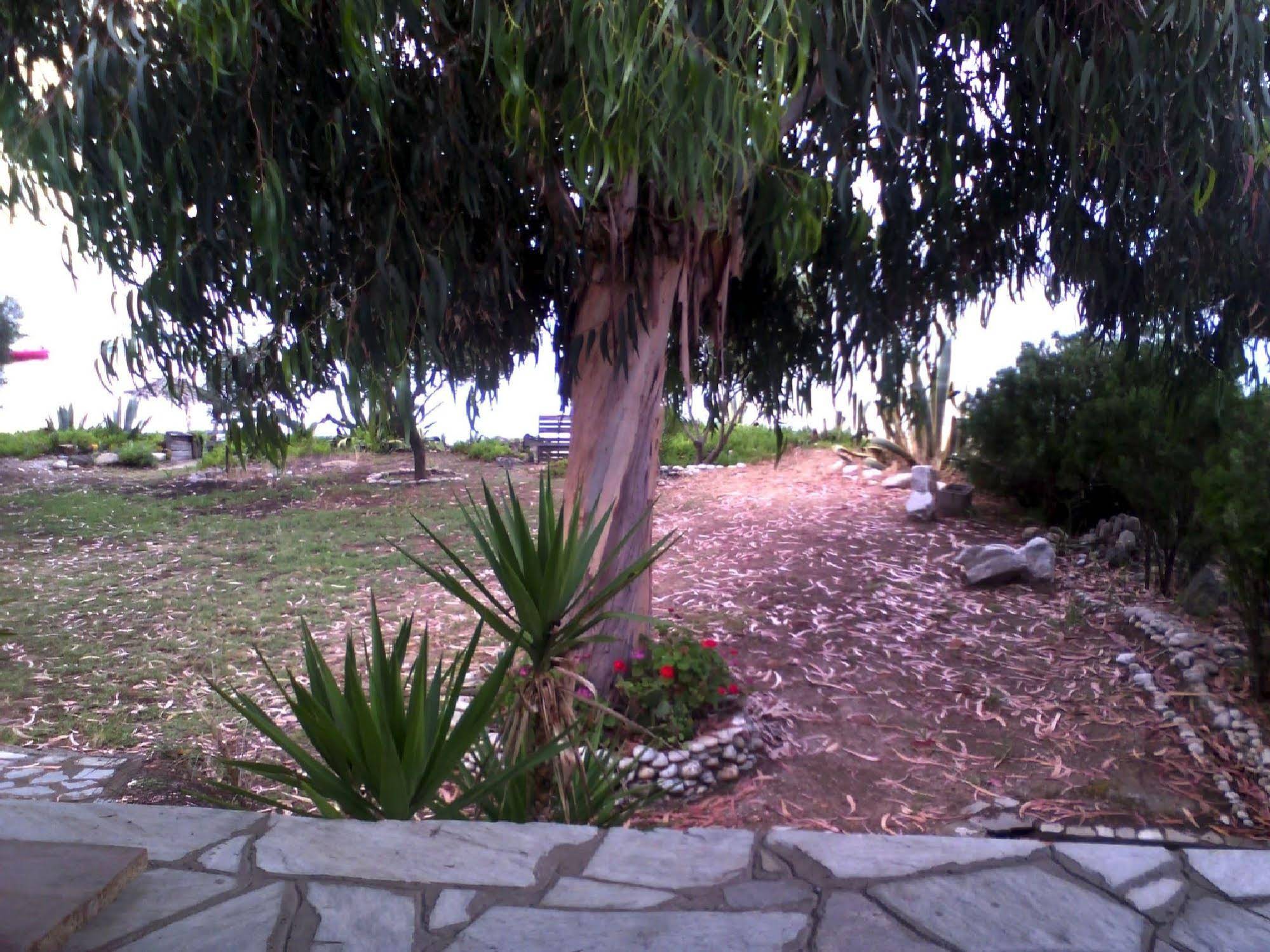 Agrelia House