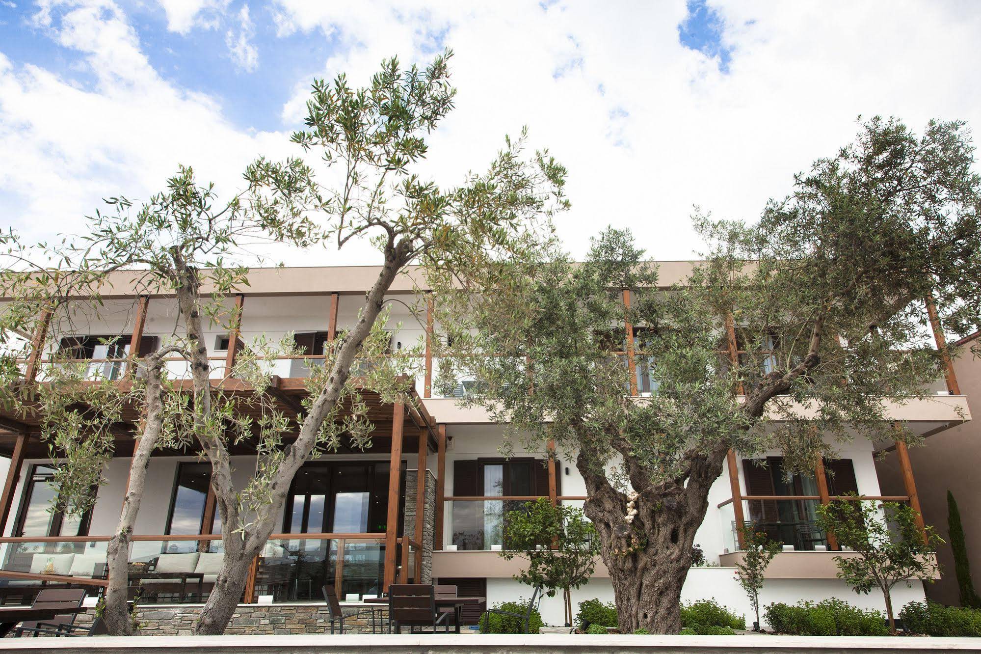 Ayia Marina Suites
