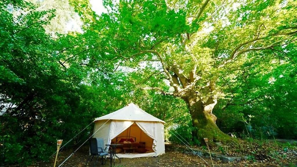 Camping Paliouri - Luxury Glamping & Bungalows