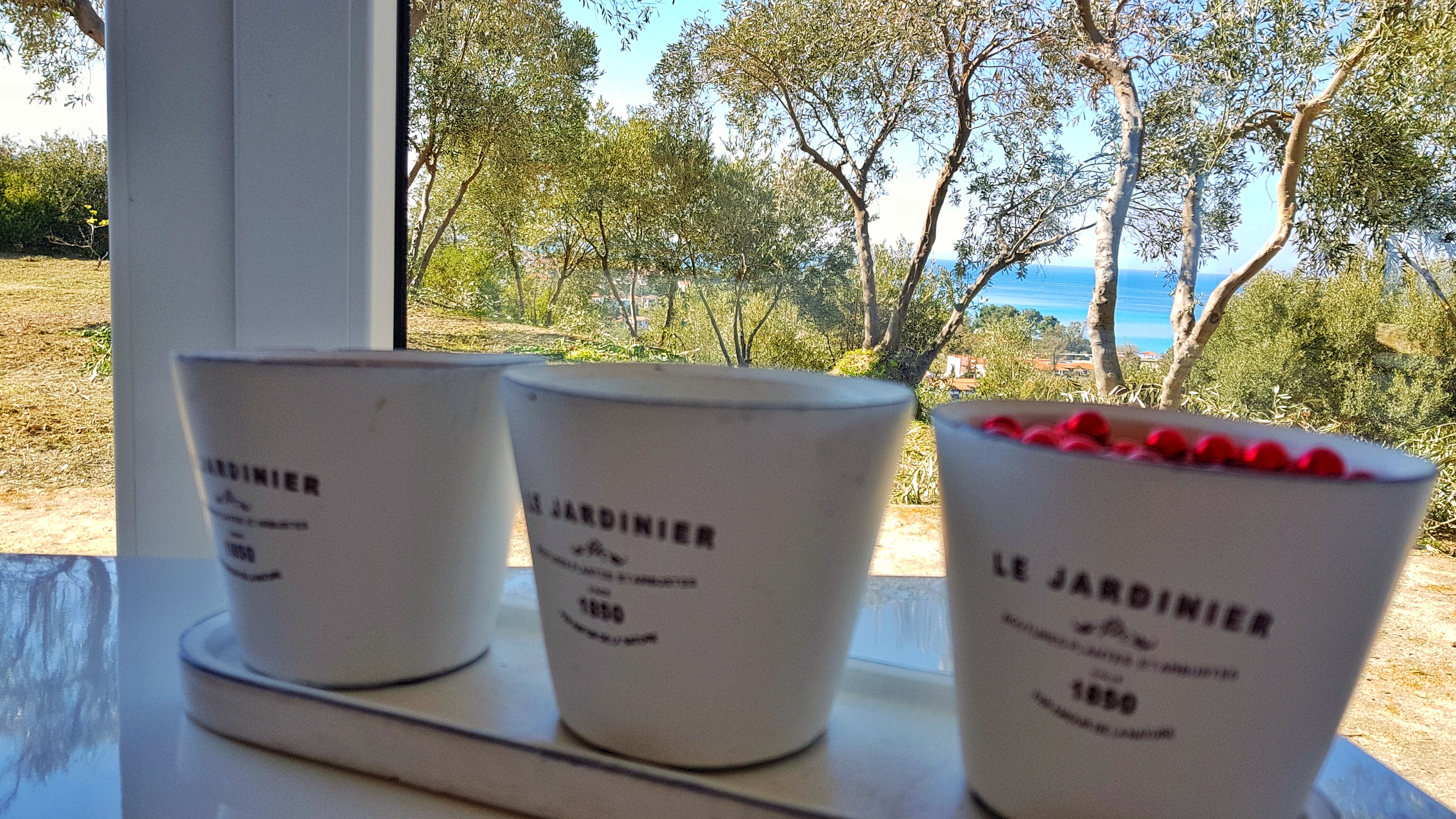 Bungalow White Apartments And Suites