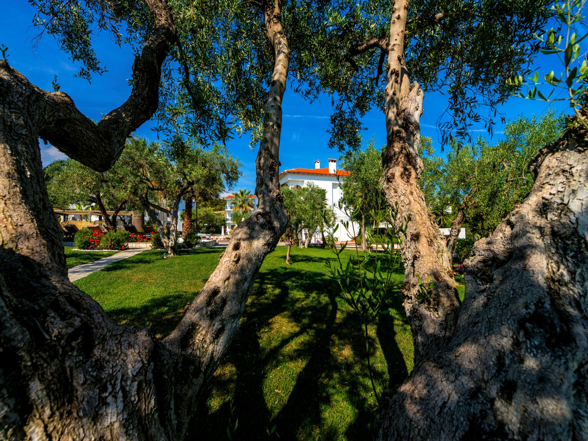 Flegra Palace Hotel