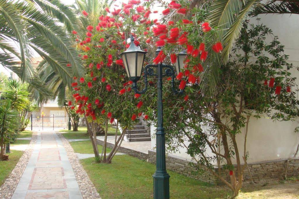Pilalidis
