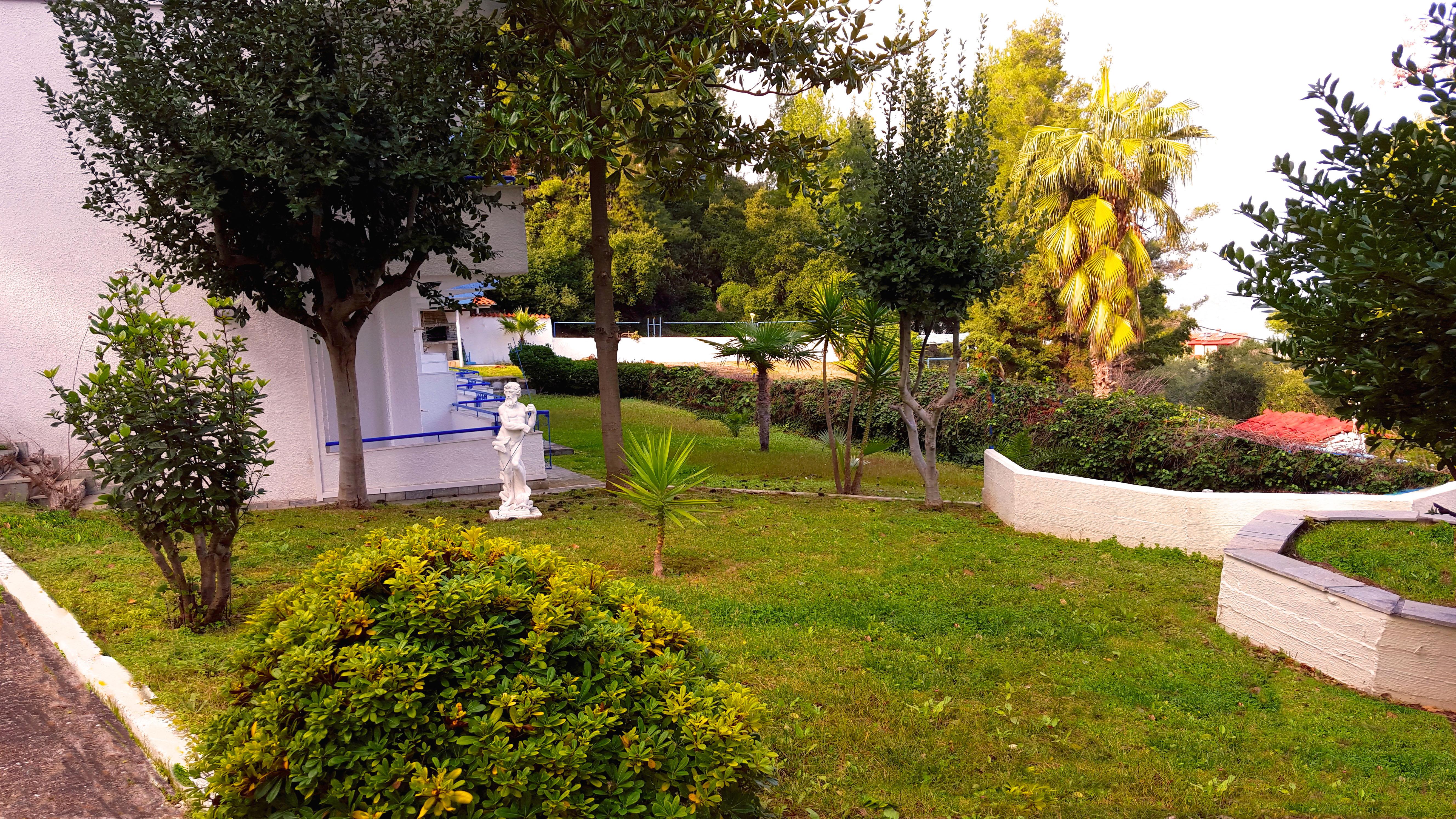 Roditsa Patritsia