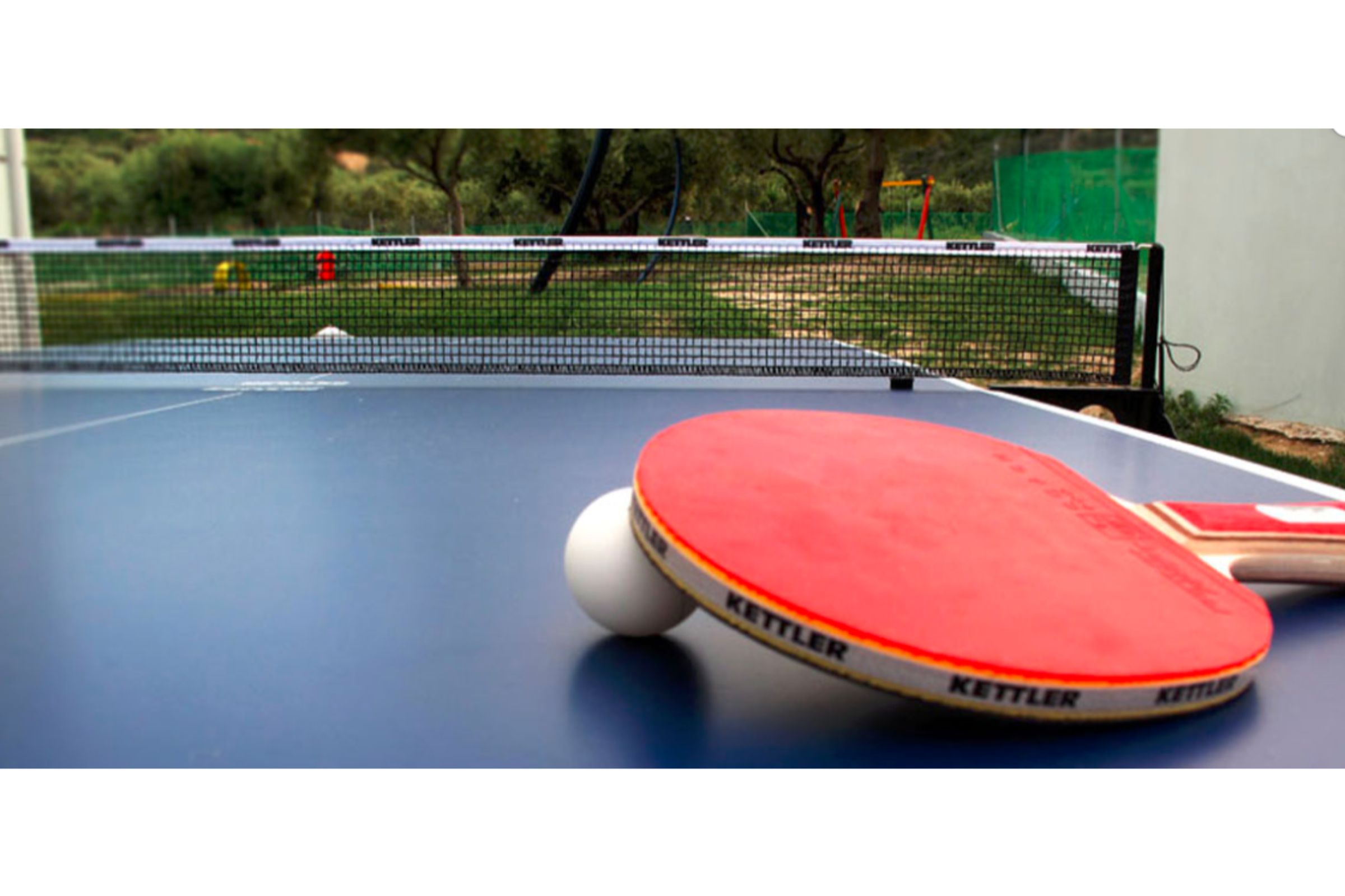 Royal Hotel and Suites