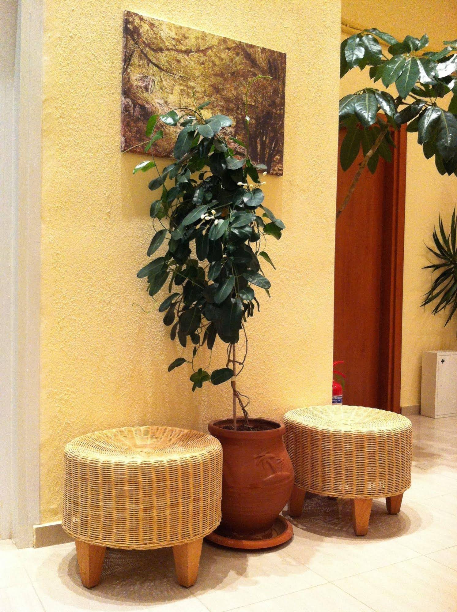 Loxandra Studios