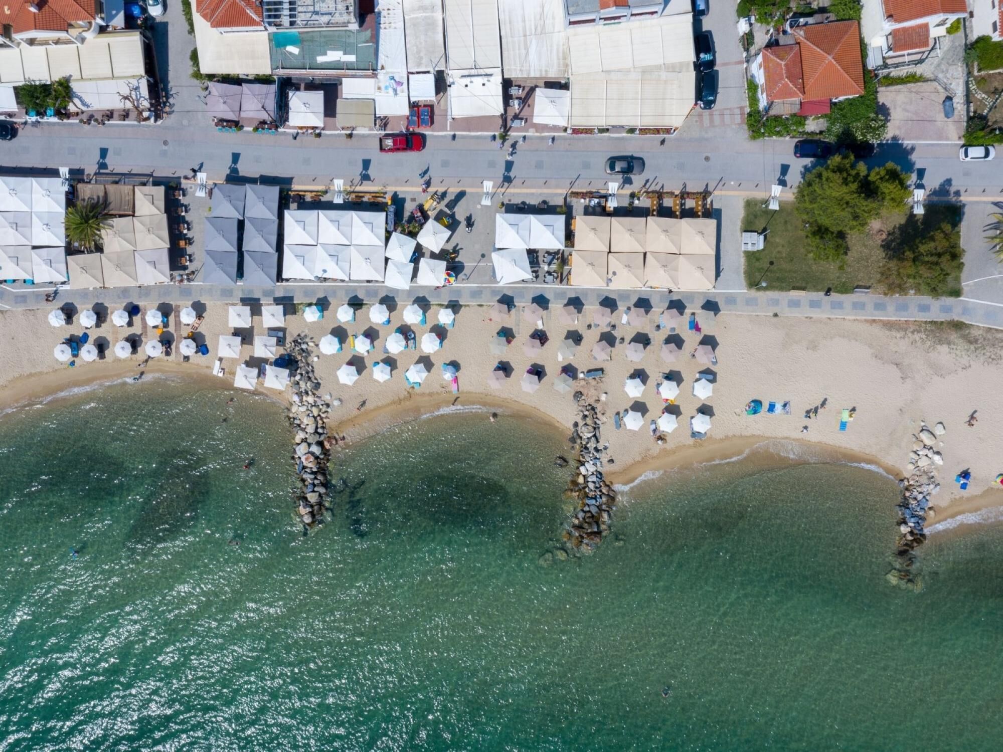 Aloe The Green Suites