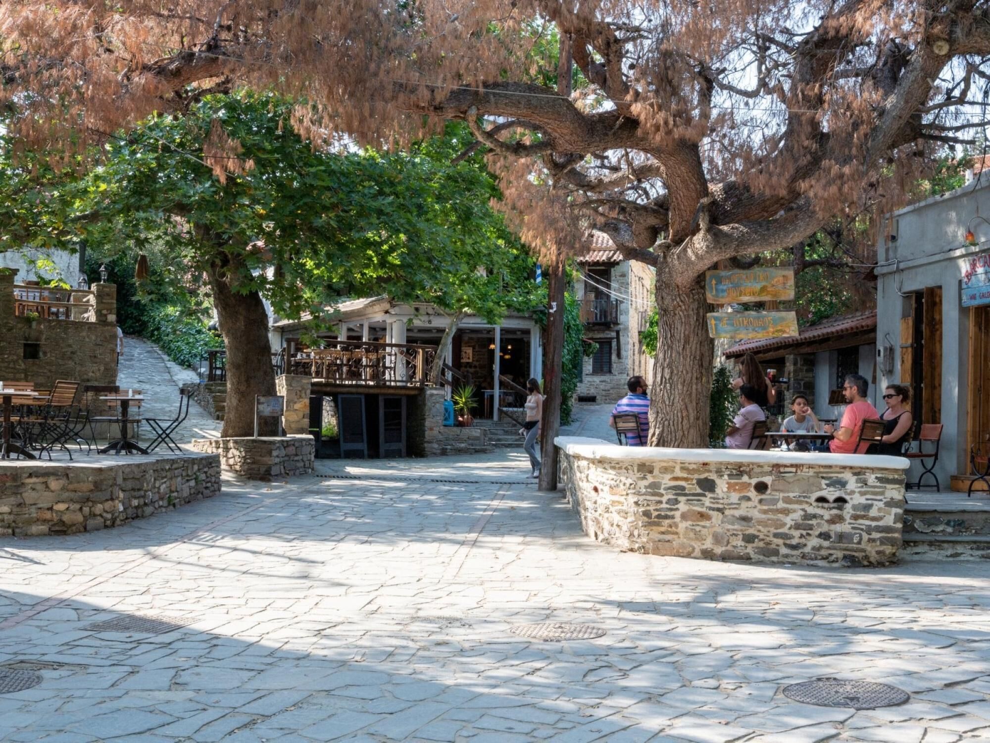 Aloe The Green Suites