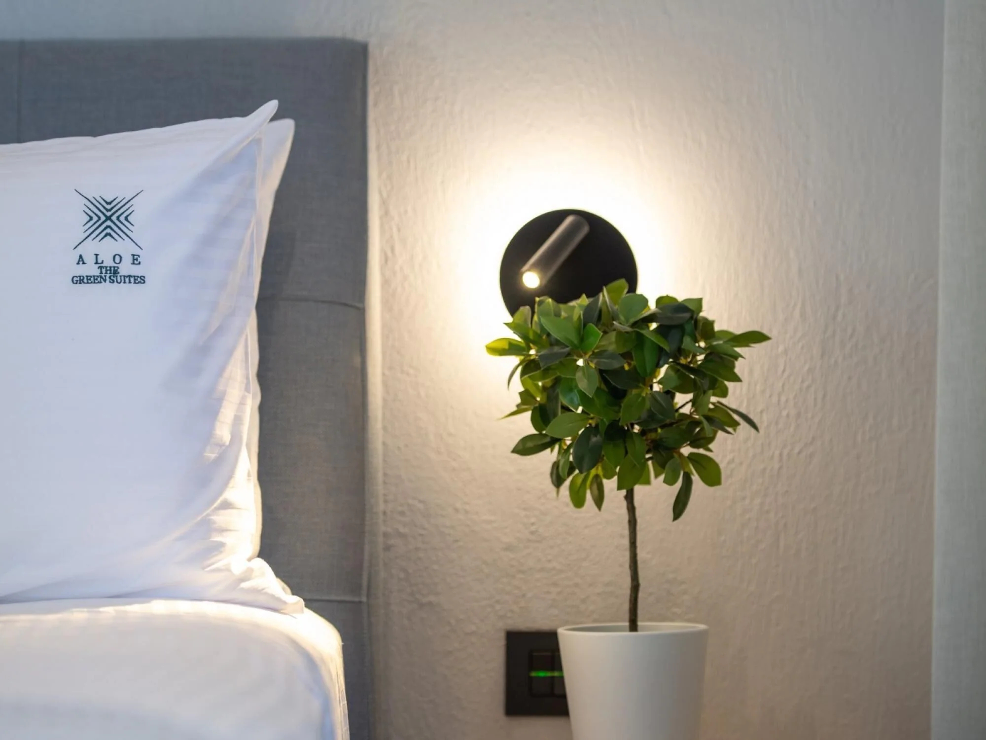 Aloe The Green Suites