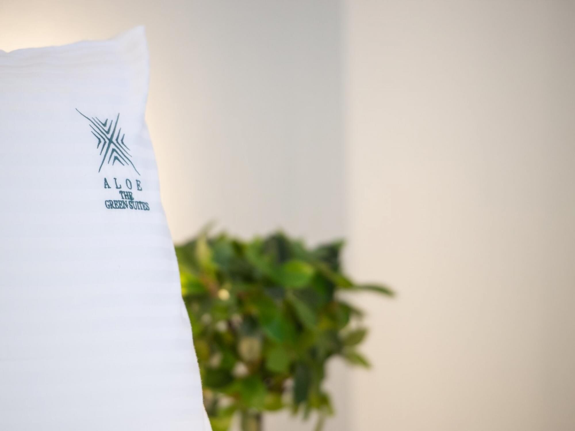 Aloe The Green Suites