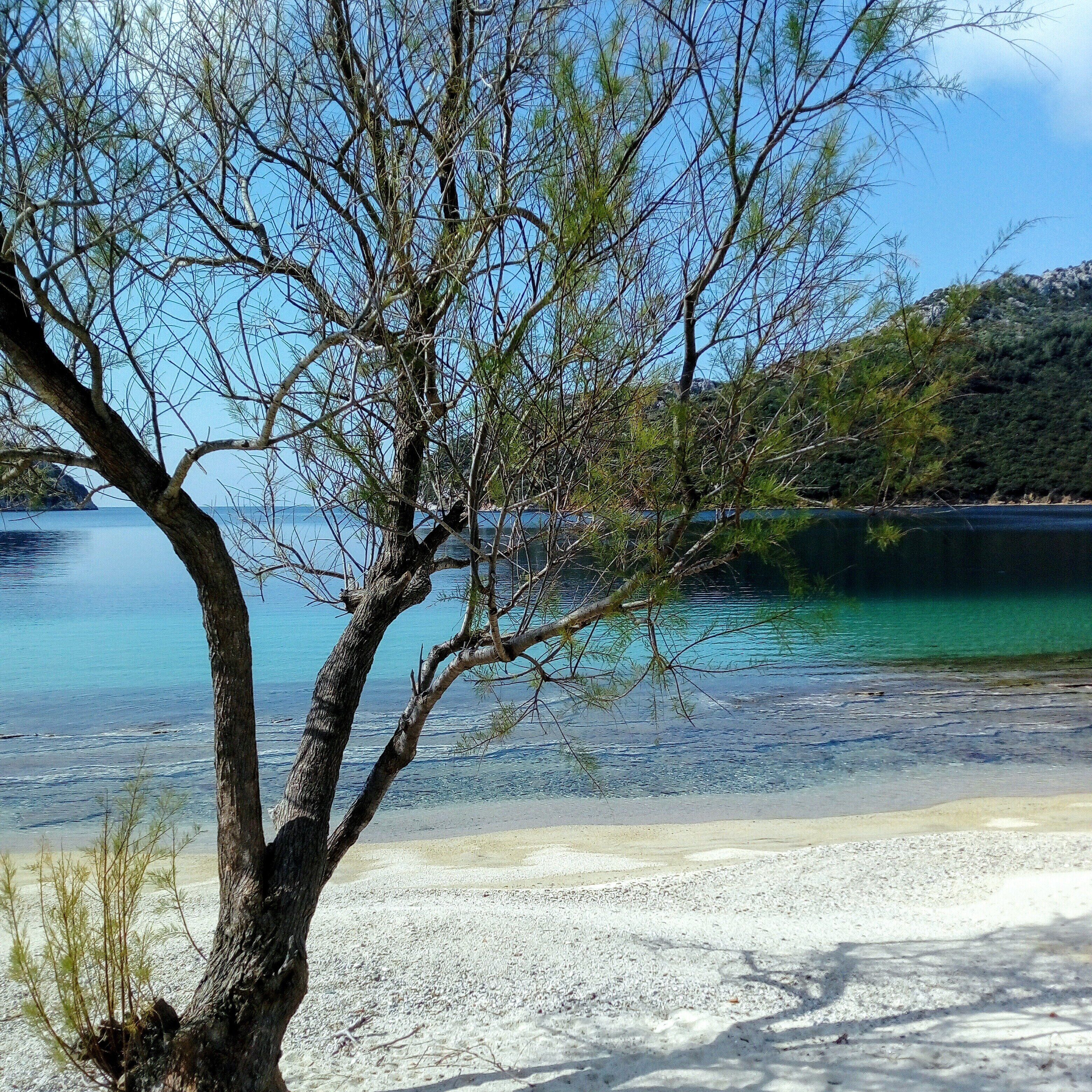 Porto Koufo Resort