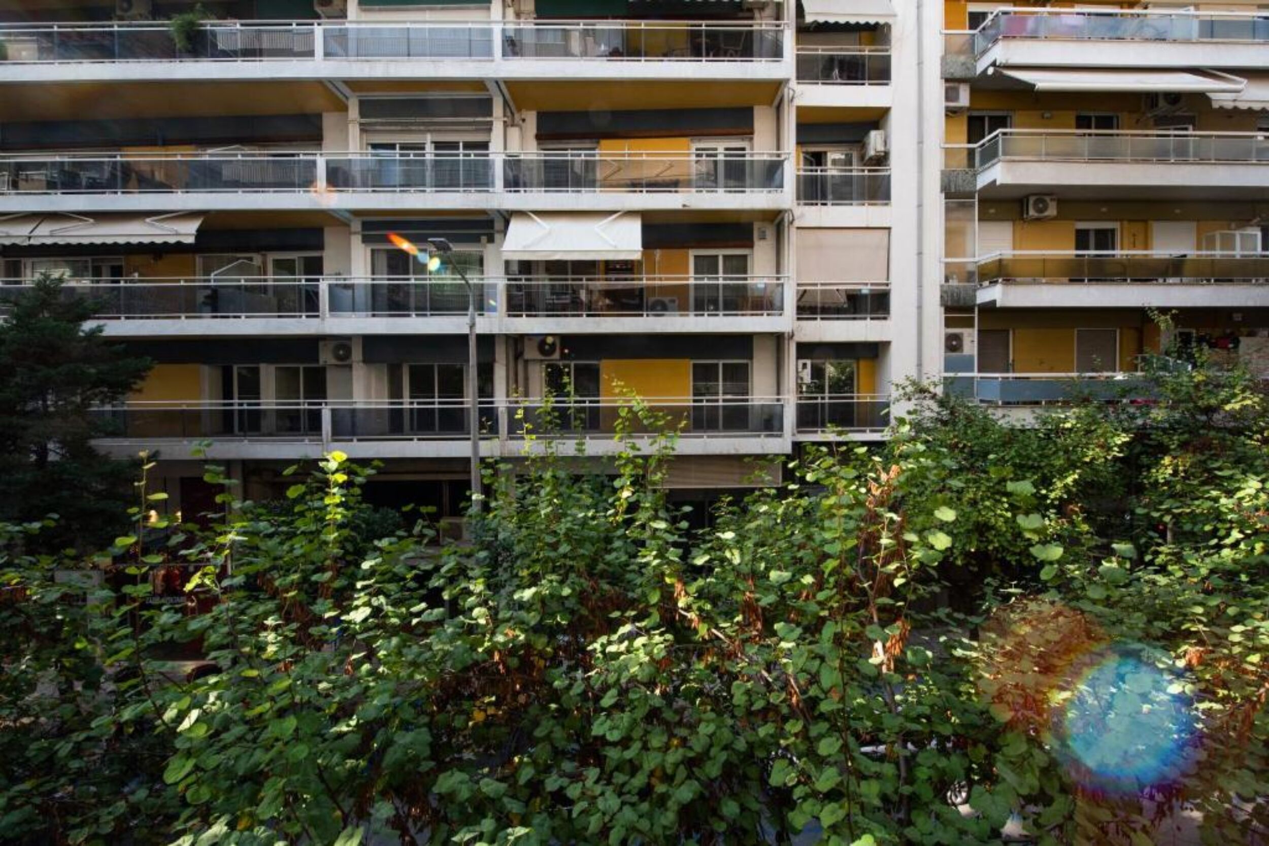 Mandarin Apartments By Halu