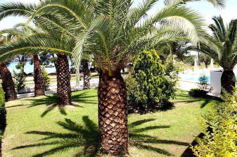 Rema Hotel
