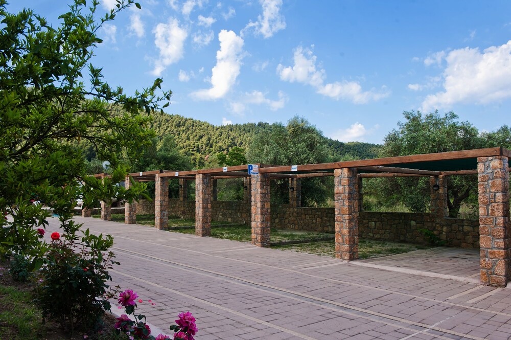 Sofia's House