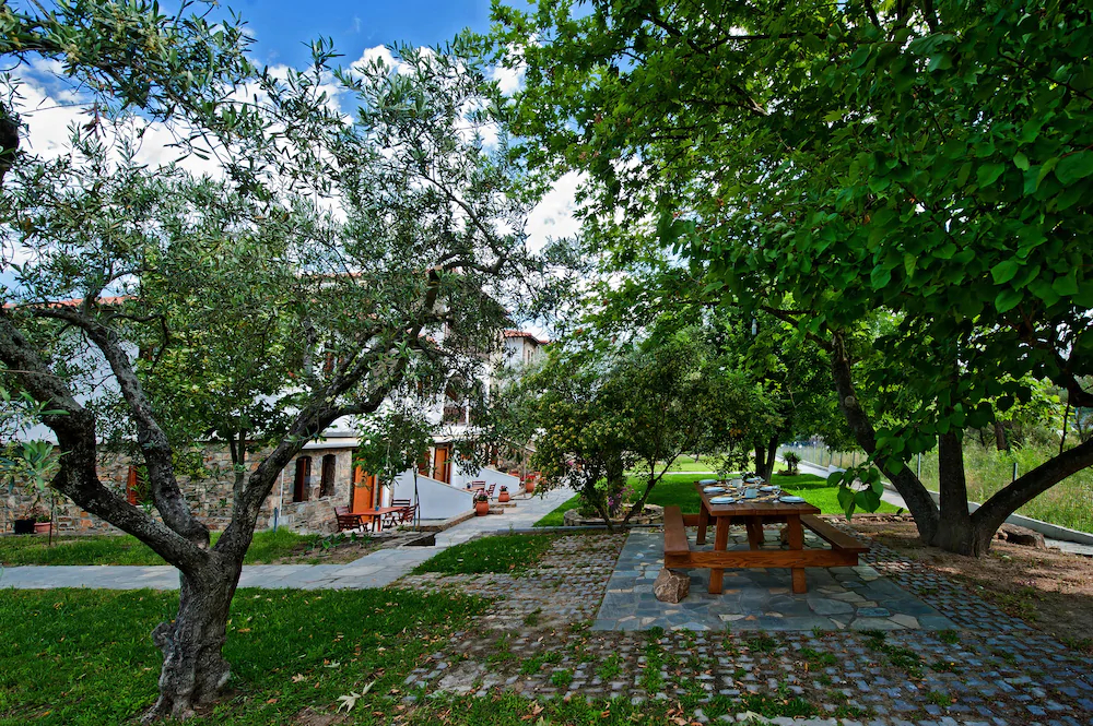 Sofia's House