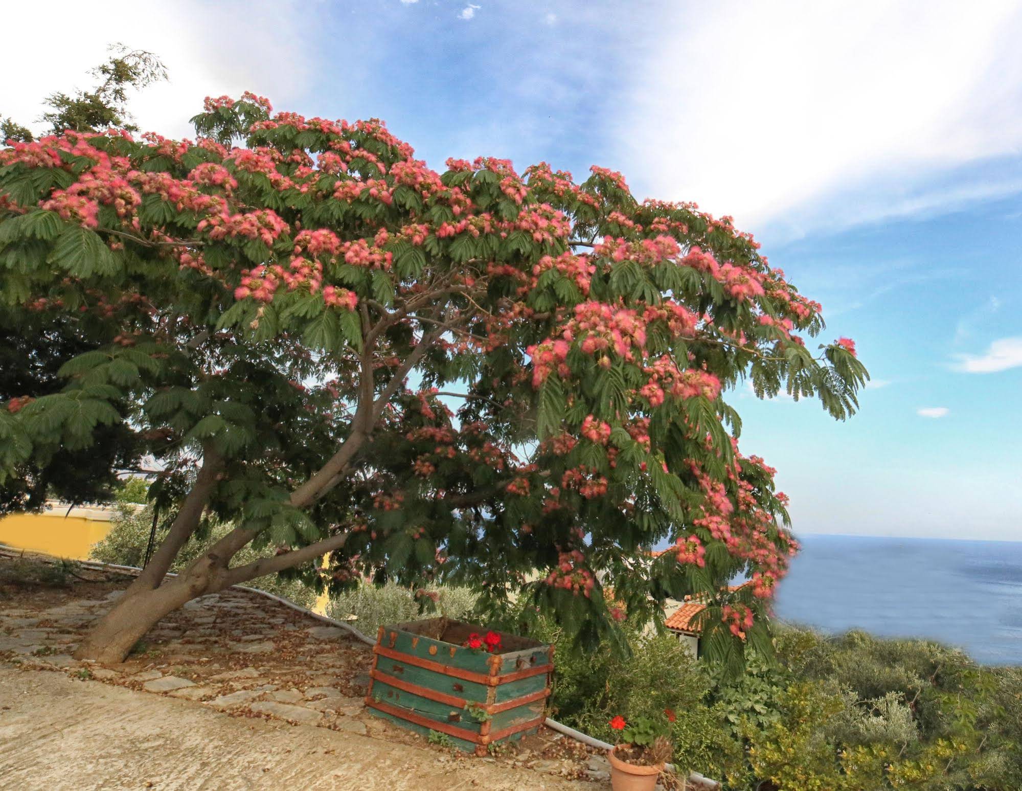 Pyrgos Exclusive Boutique Villas