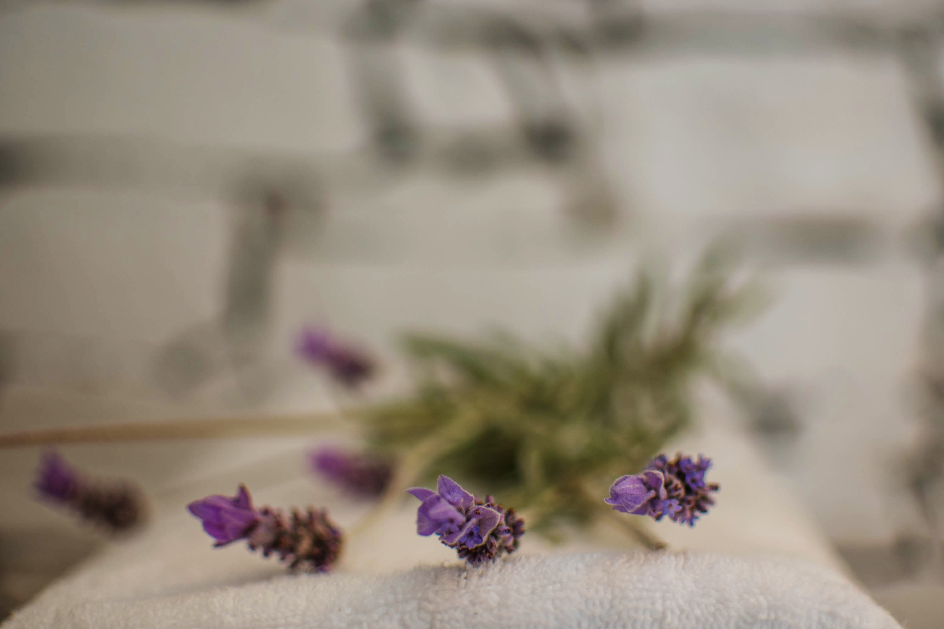 Levantes Ios Boutique Hotel