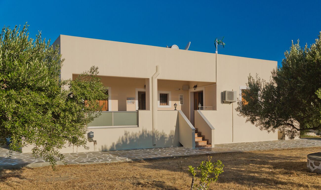 Olive Studios