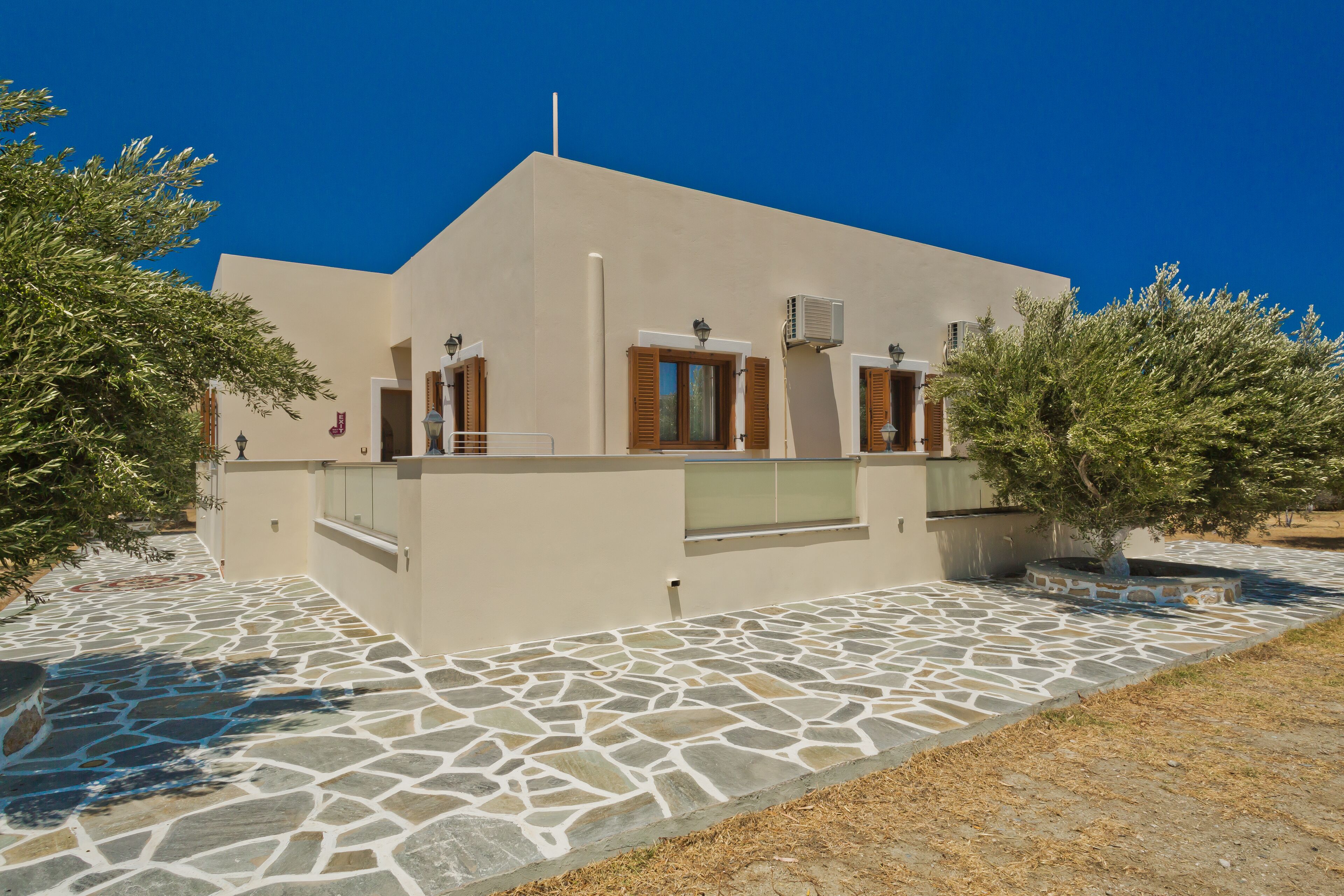 Olive Studios