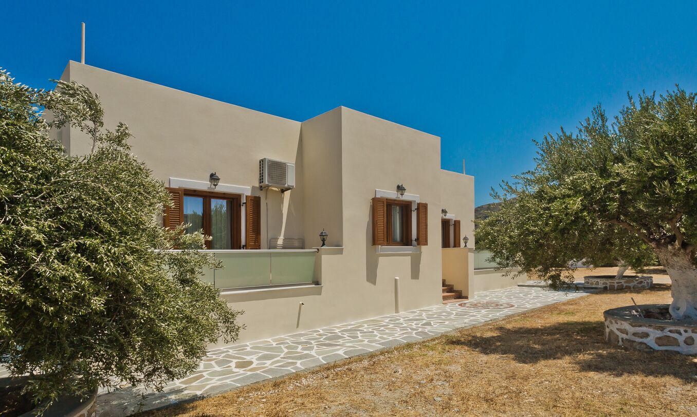 Olive Studios