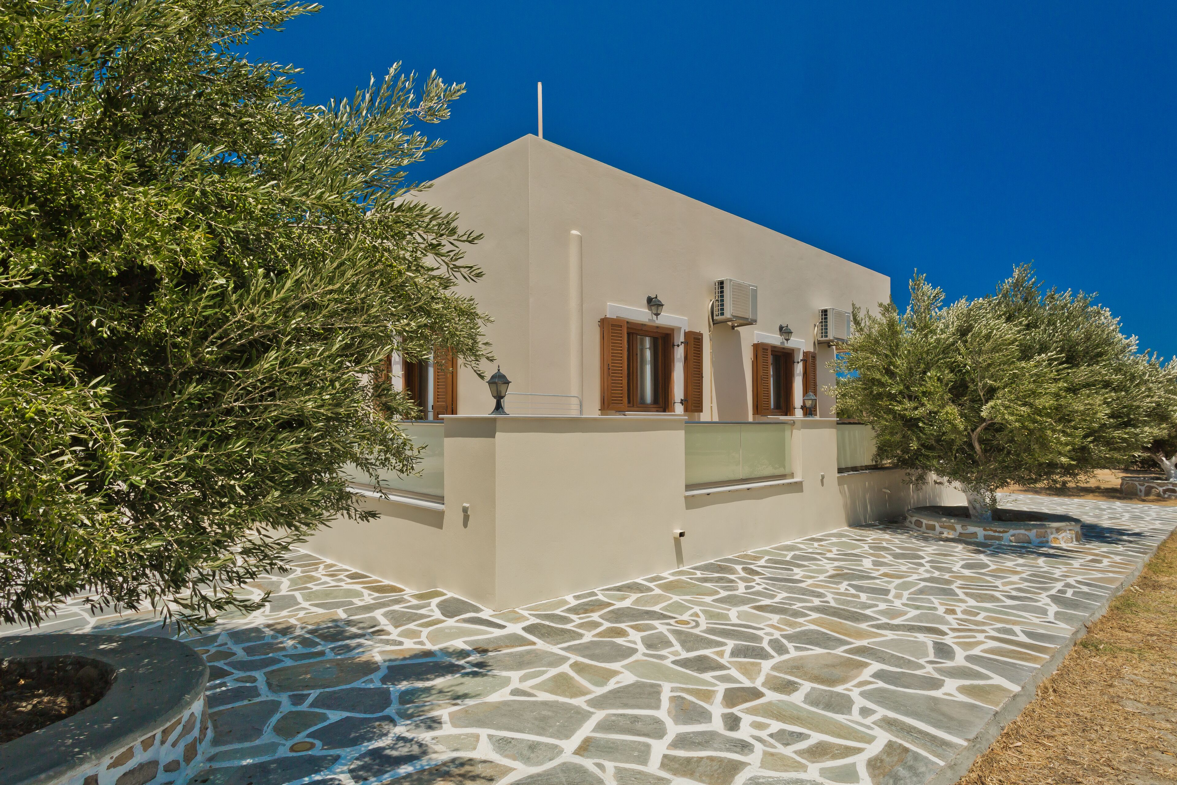 Olive Studios